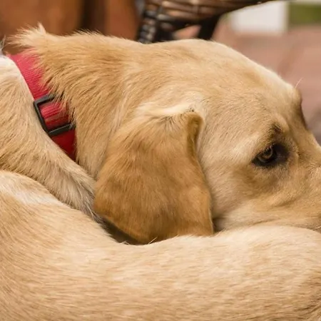 Jacket's Nest Am Westkaap 3b Borkum